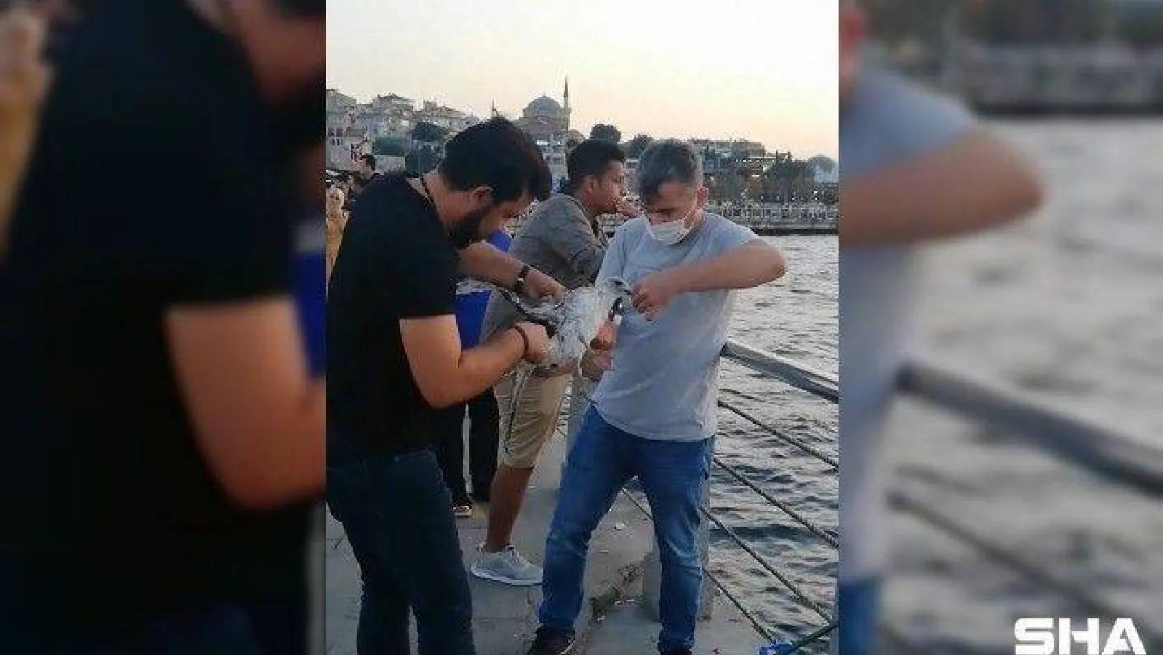 (Özel) Üsküdar'da balıkçı oltasına dolanan martıyı vatandaşlar kurtardı
