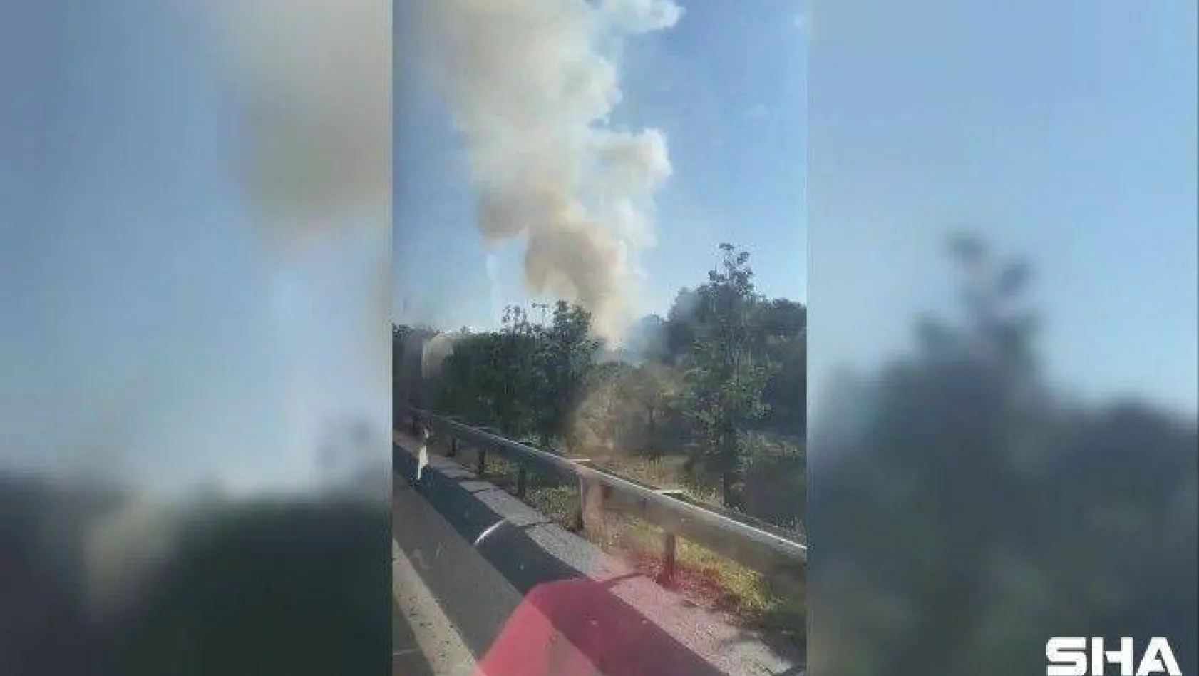 Üsküdar'da ağaçlık alanda korkutan yangın
