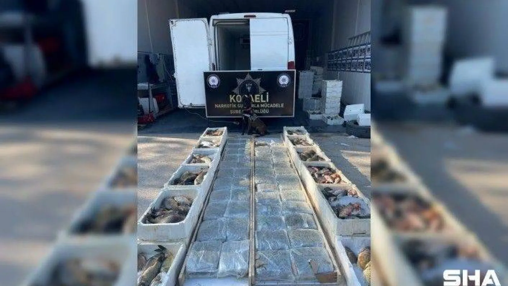 Balık yüklü araçta 53 kilo skunk esrar ele geçirildi