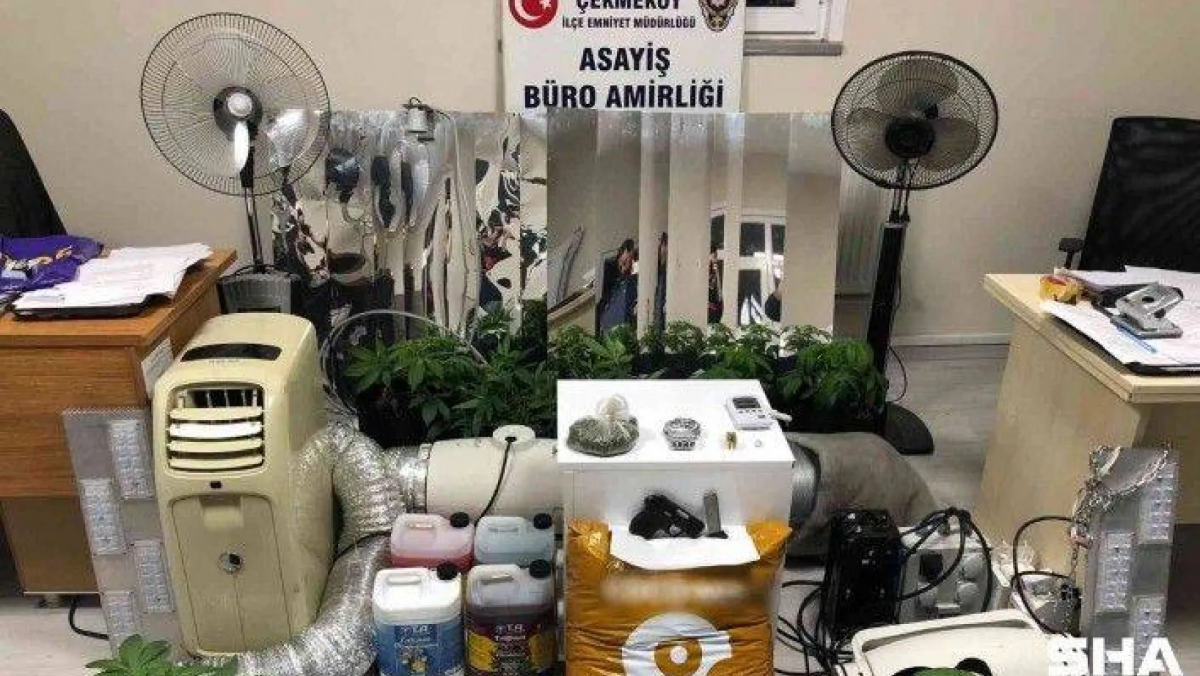 Çekmeköy'de, uyuşturucu yetiştirmek için evin bodrum katını seraya dönüştüren şüpheli yakalandı