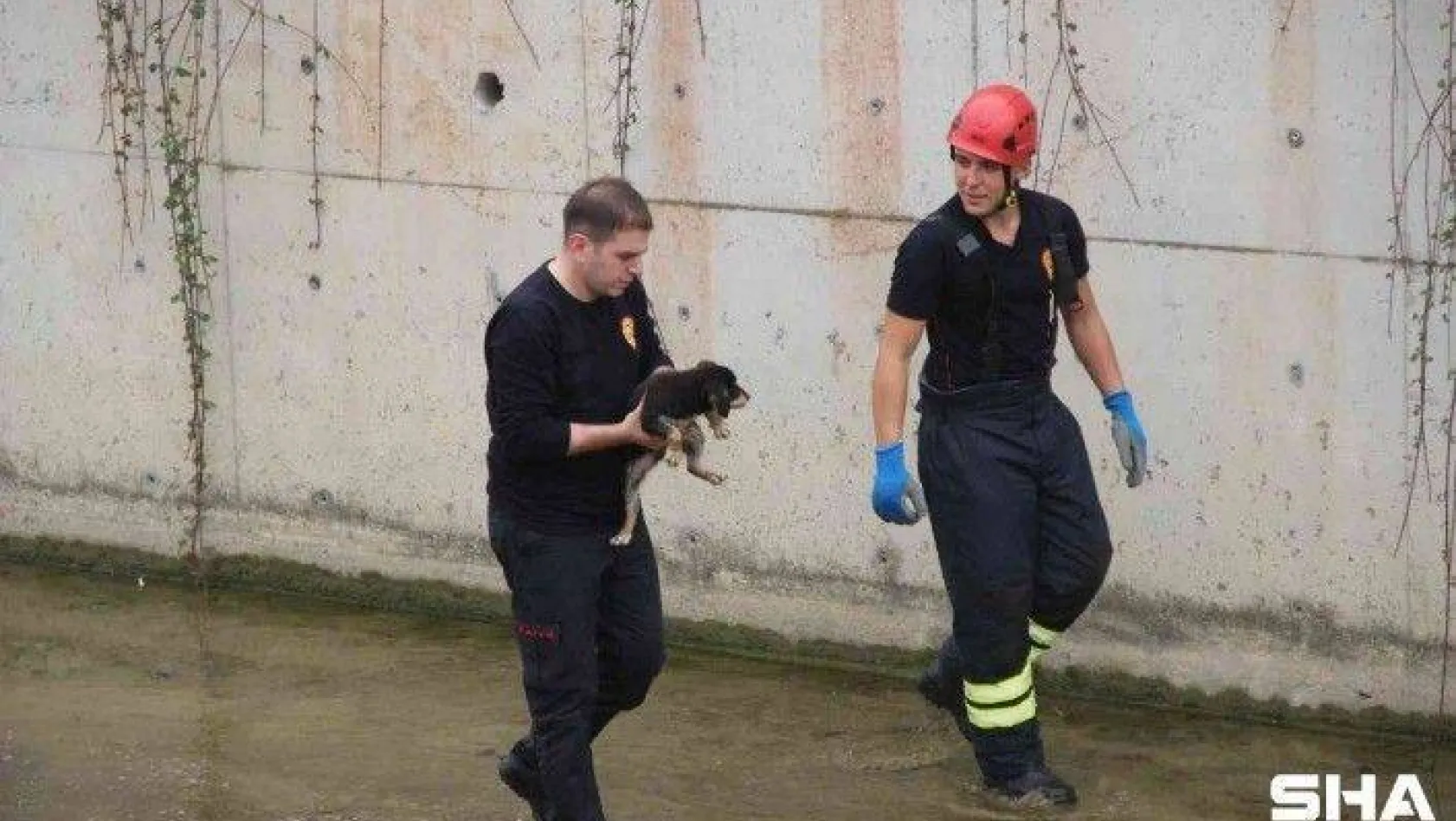 Dere yatağında mahsur kalan yavru köpeği itfaiye ekibi kurtardı