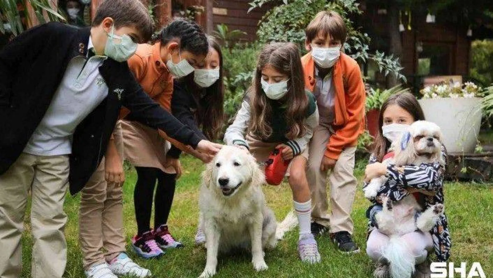 Doğa'nın hayvansever öğrencileri sevimli dostları için iş başında