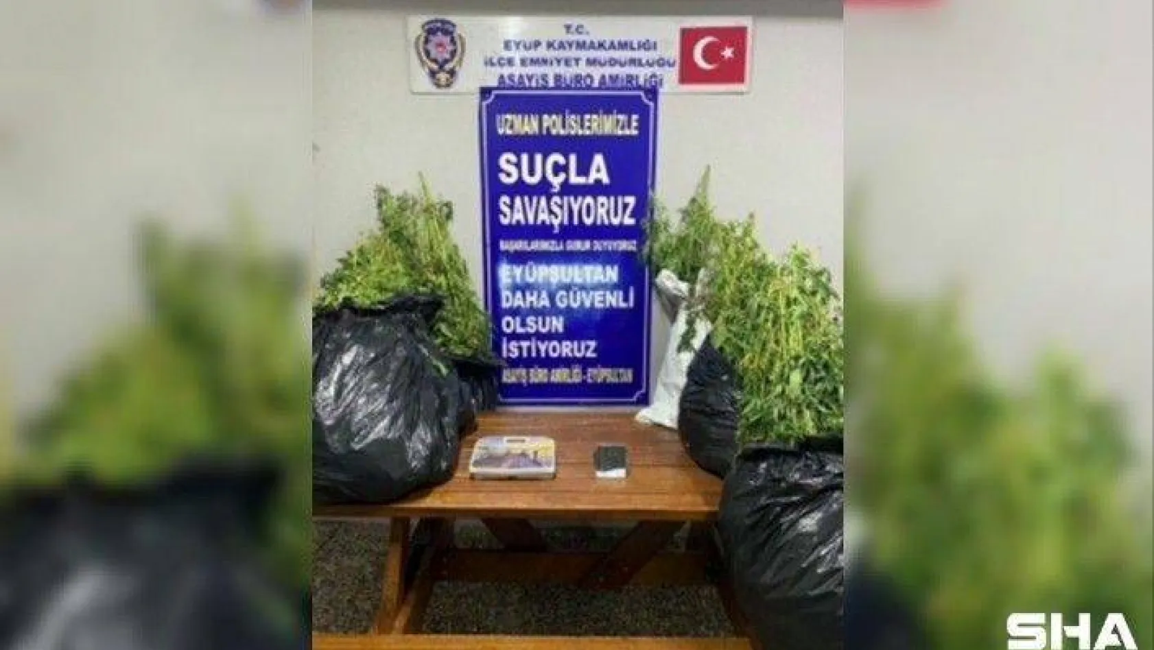 İstanbul'da 22 kilo marihuana ele geçirildi
