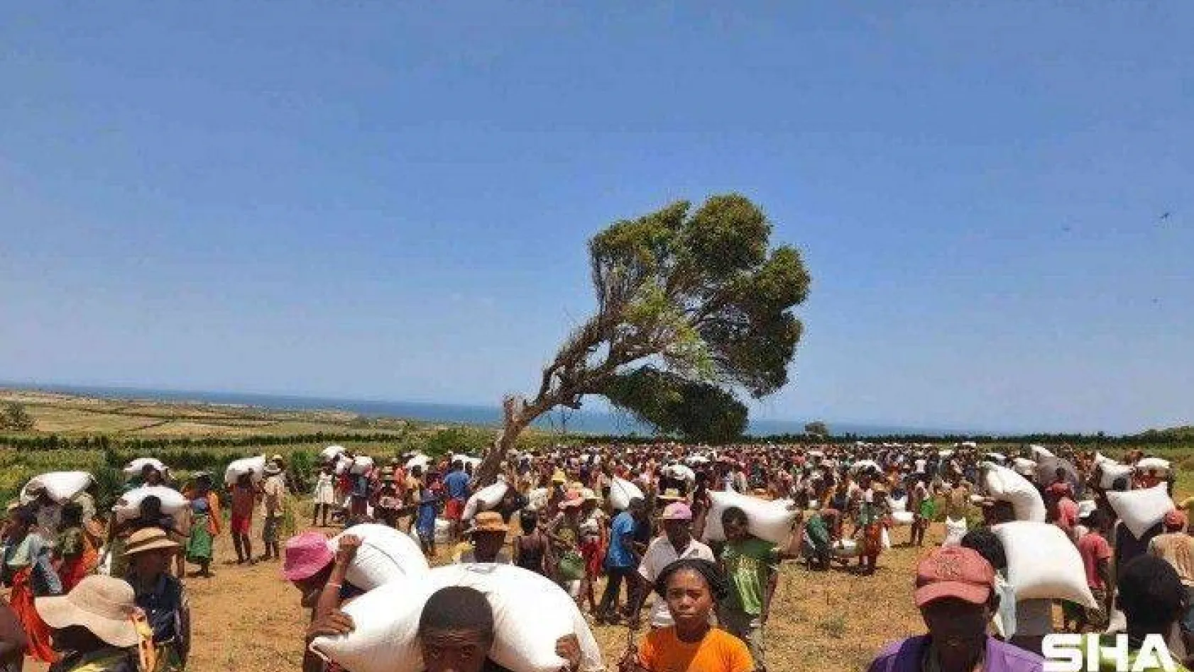 Açlığın tehlikeli boyutlarda olduğu Madagaskar'da 3 bin 370 ailenin yüzü güldü
