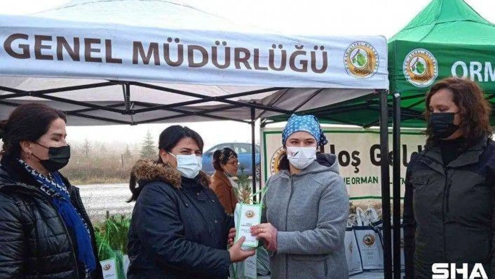 Edirne'de &quotTıbbi Aromatik Bitkiler Ormanı" kuruluyor