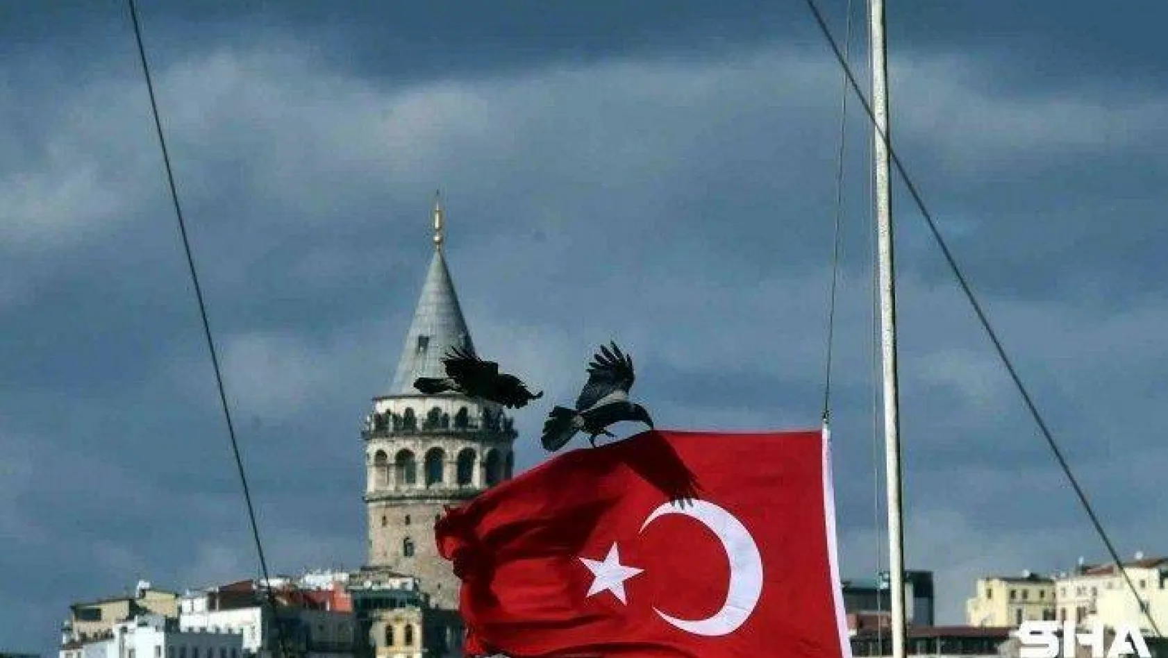 Kuşlar fırtınadan korunmak için Türk bayrağına tutundu