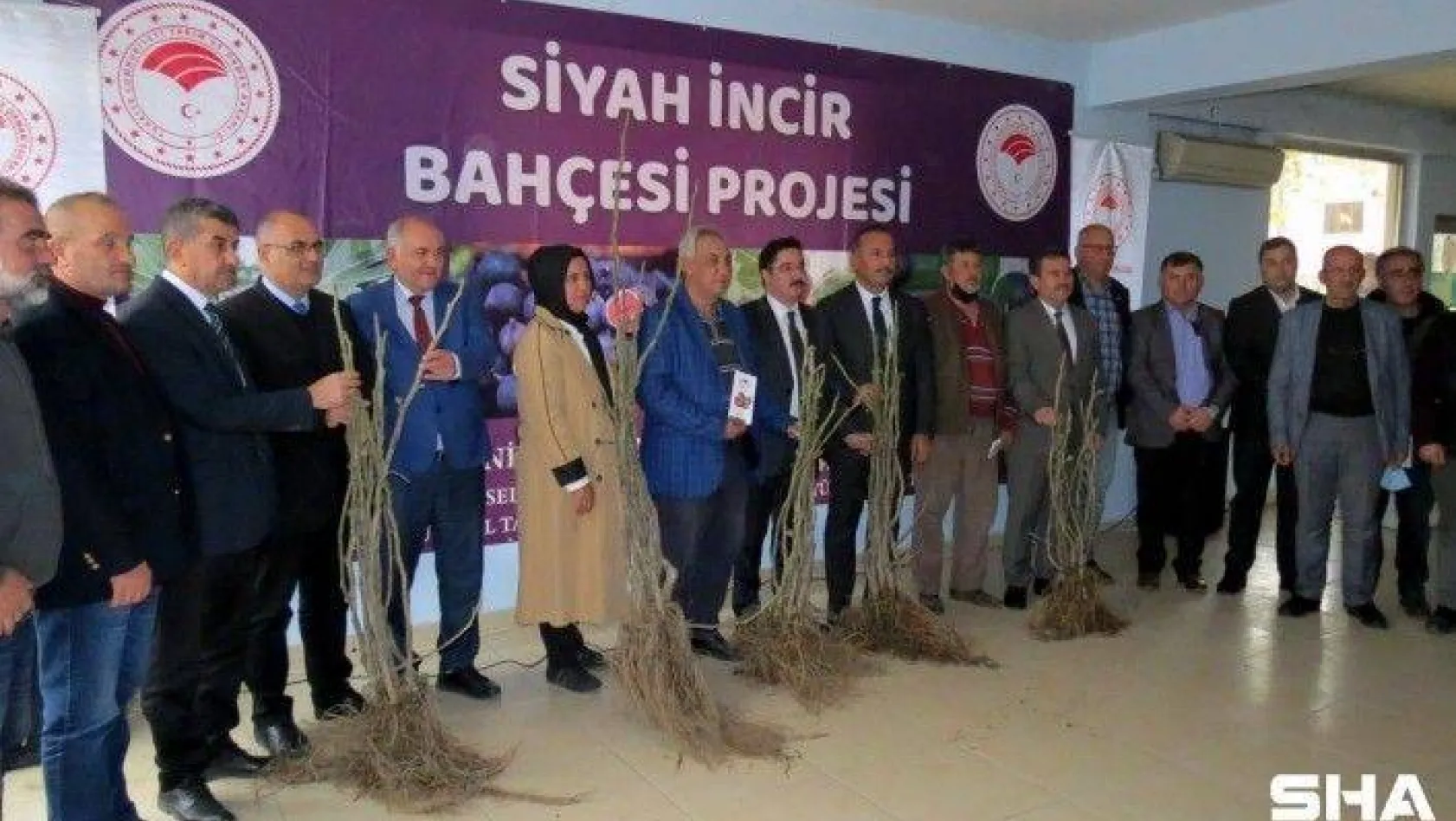 Mudanya'da siyah incir bahçesi projesi başladı
