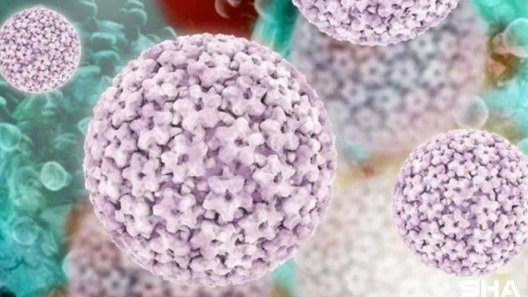 100 kadından 98'i HPV virüsü ile karşı karşıya