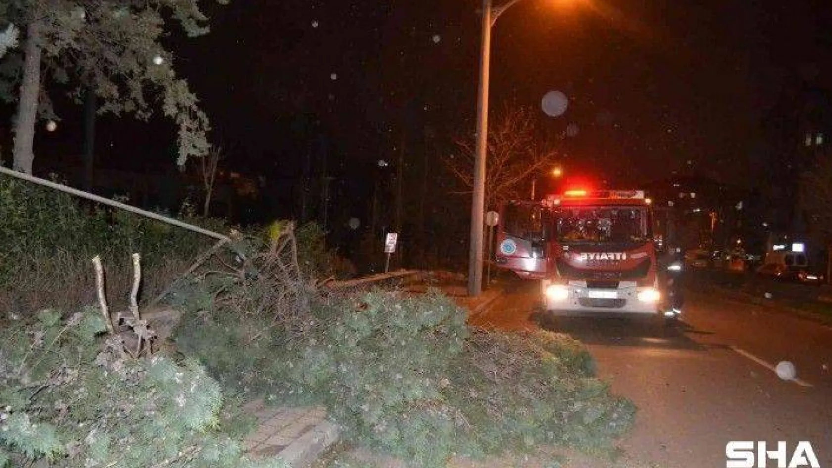 Çorlu'da kuvvetli fırtına: Ağaçlar devrildi, çatılar uçtu, direkler devrildi