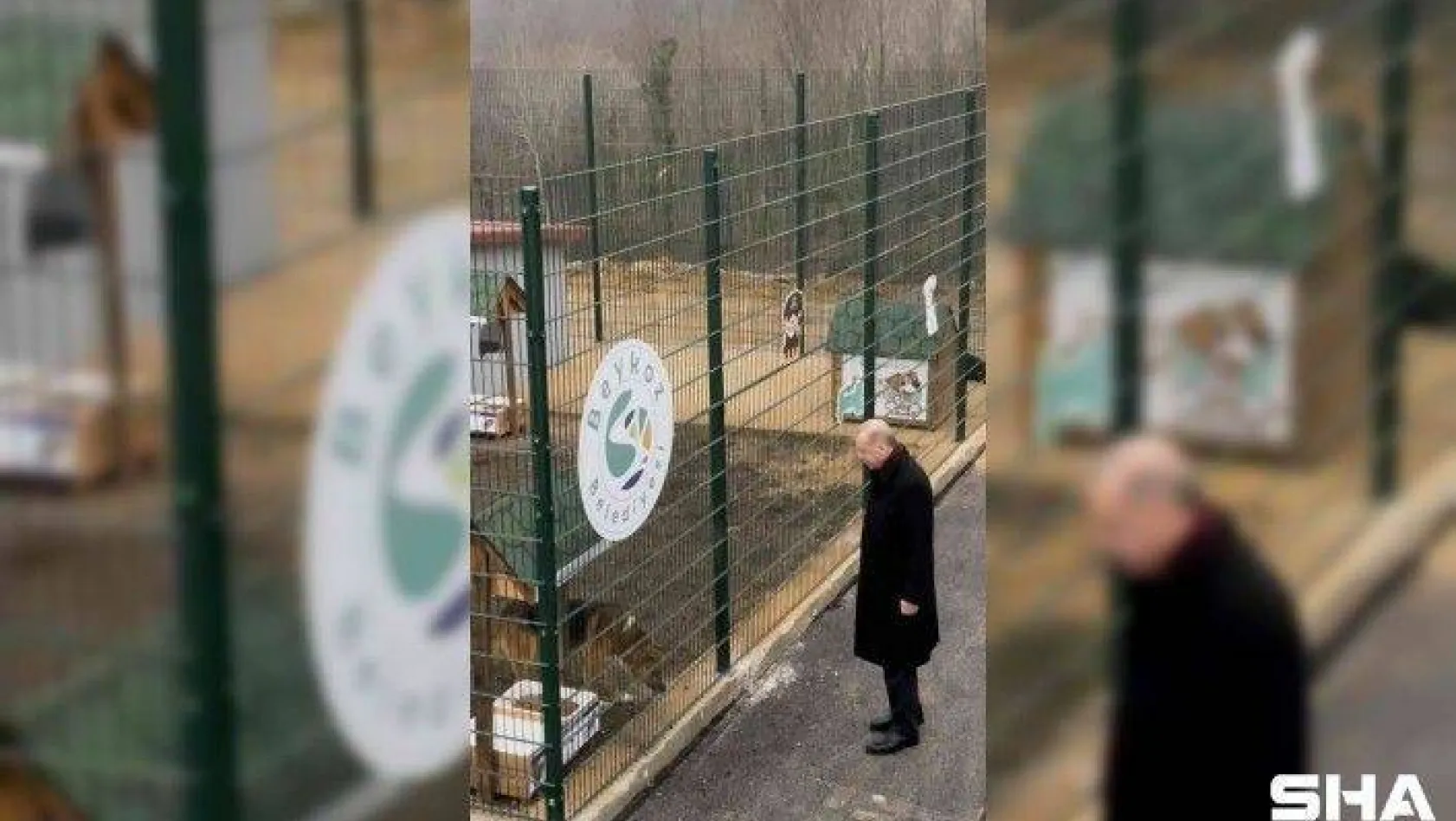 Cumhurbaşkanı Erdoğan, Beykoz hayvan barınağını ziyaret etti