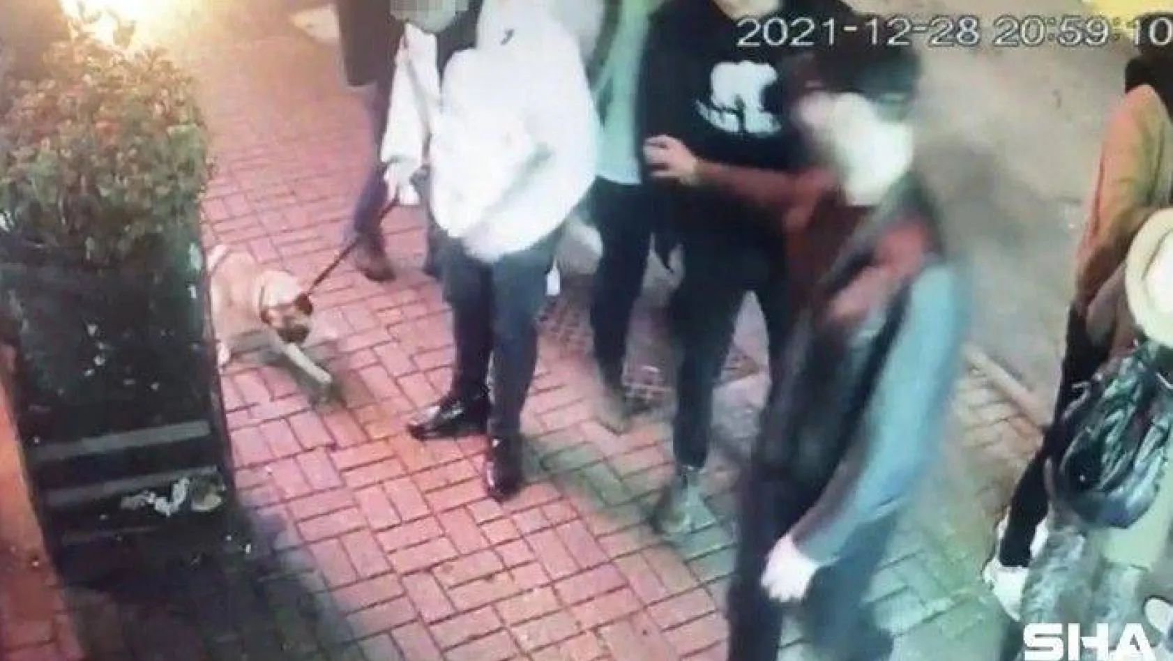 'Gorbi' isimli köpeği çalan hırsızları Beşiktaş polisi yakaladı: Köpek 4 farklı şahsa satılmış