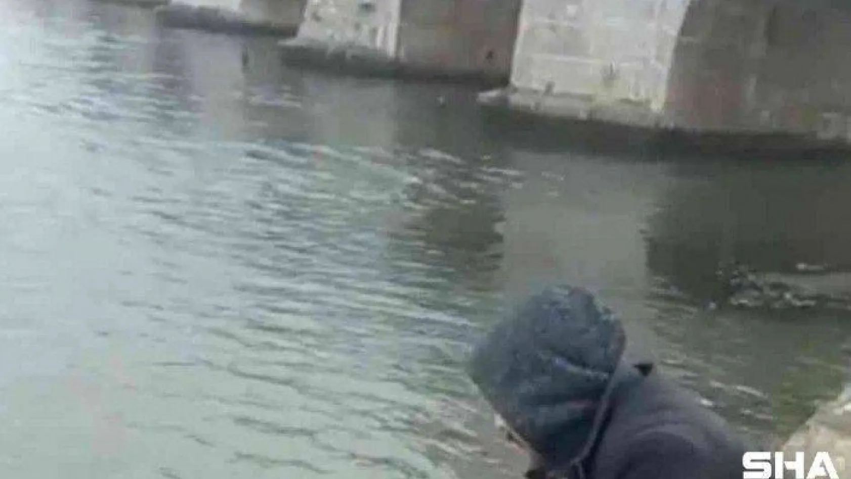 İstanbul'da tedavisi tamamlanan 'Bahri' suya bırakıldı