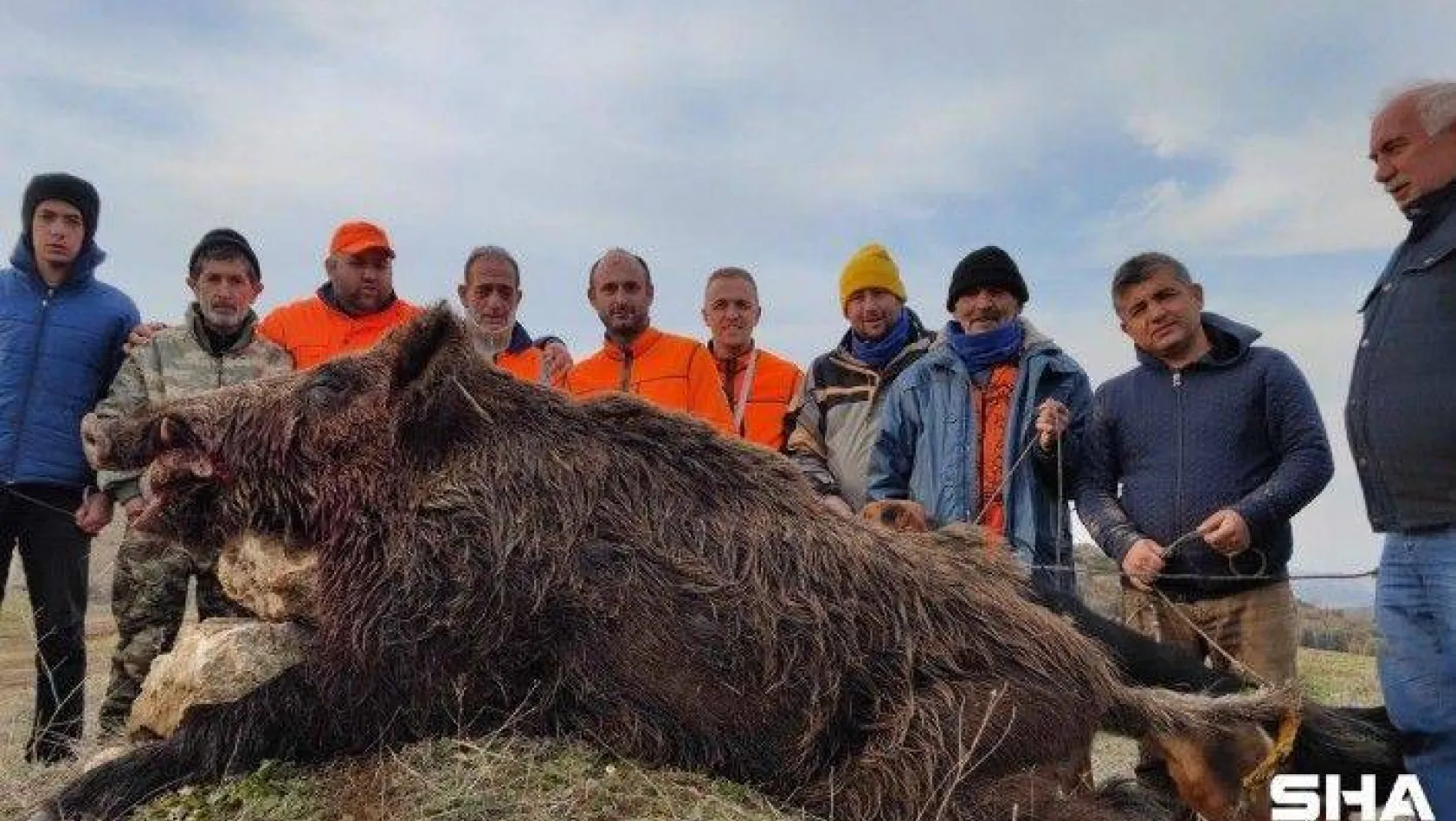 220 kiloluk domuz, avcıya saldırdı