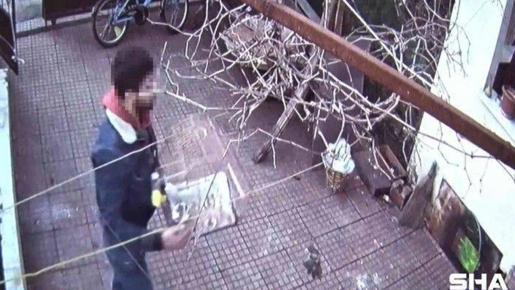Ataşehir'de elleri cebinde hırsız, muhabbet kuşunu çaldı