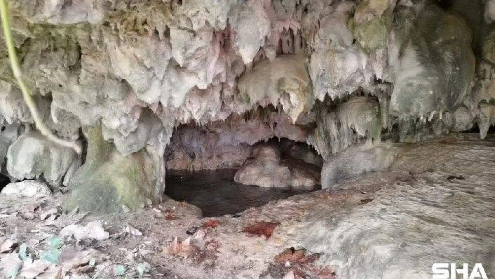 Hayvanlarını otlatırken binlerce yıllık mağarayı buldular
