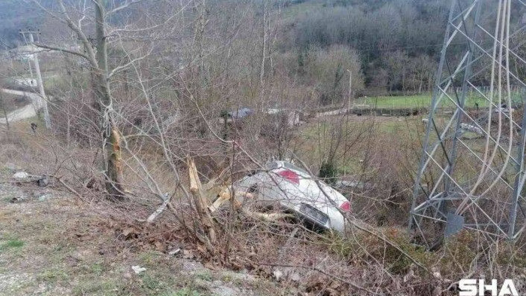 Yalova'da ağaca çarpan otomobilin sürücüsü ağır yaralandı