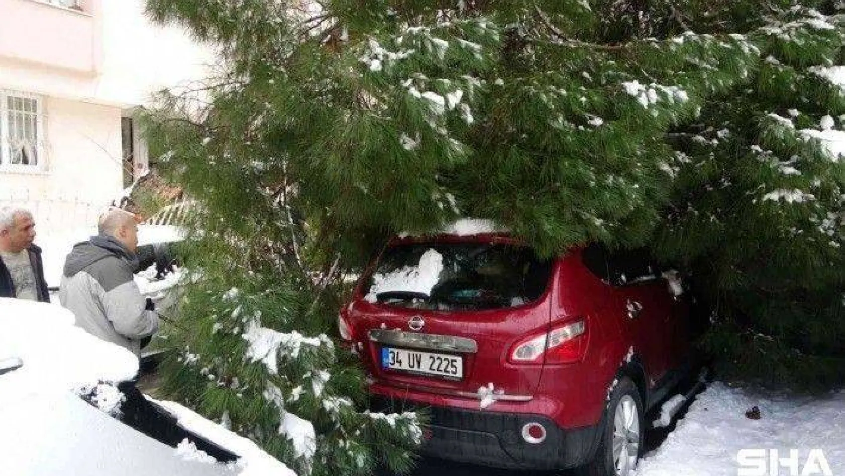 Maltepe'de yoğun kara dayanamayan ağaç, park halindeki 2 aracın üstüne devrildi