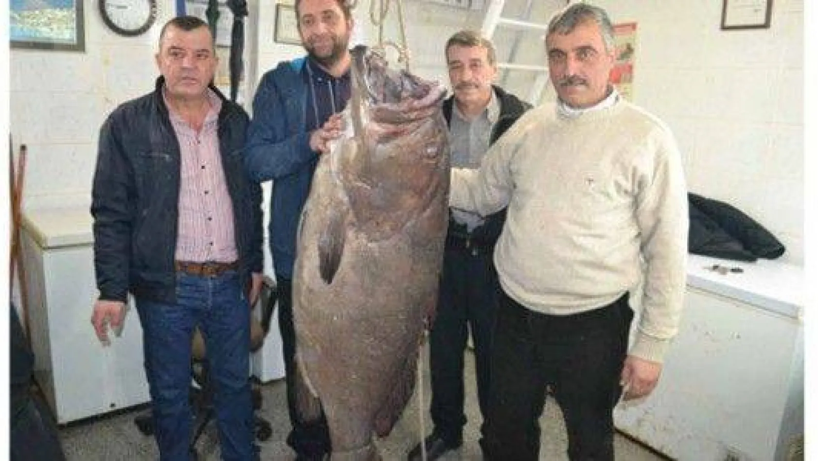 66,5 kiloluk dev lağos balığı!