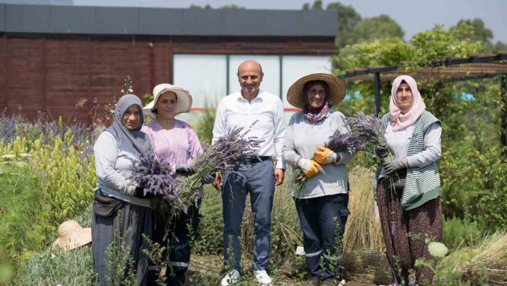 Altınova Belediyesi Tıbbi Aromatik Bitkiler Bahçesi'nde hasat sezonu başladı