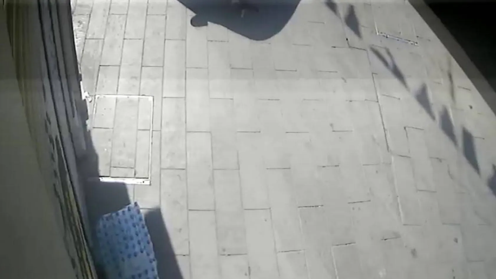 Beyoğlu'nda feci olay kamerada: İBB aracı kediyi ezip kaçtı