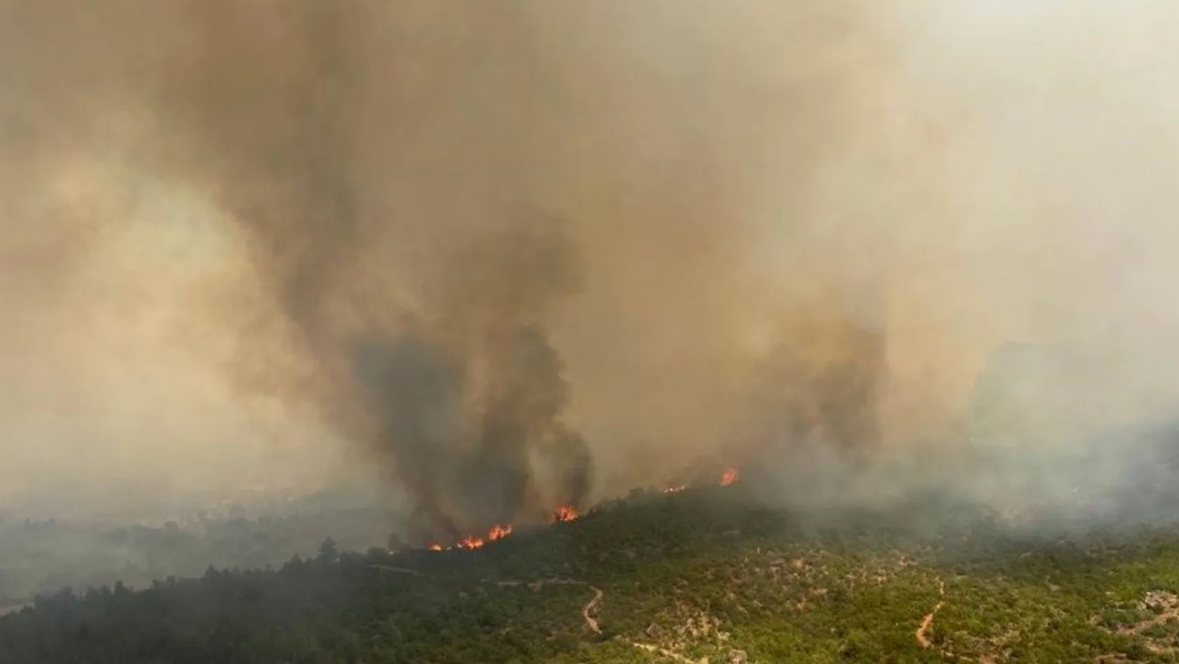 Çanakkale'de orman yangını: 1 köy boşaltıldı