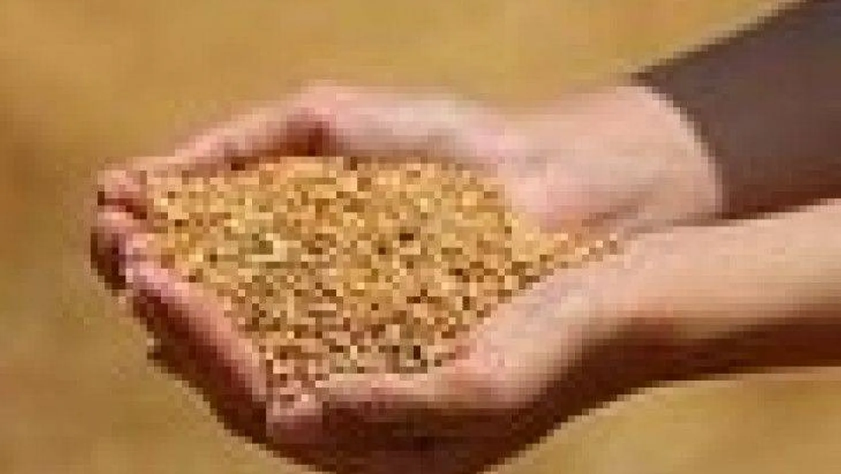 Edirne'de buğday 5 lira 352 kuruştan satıldı
