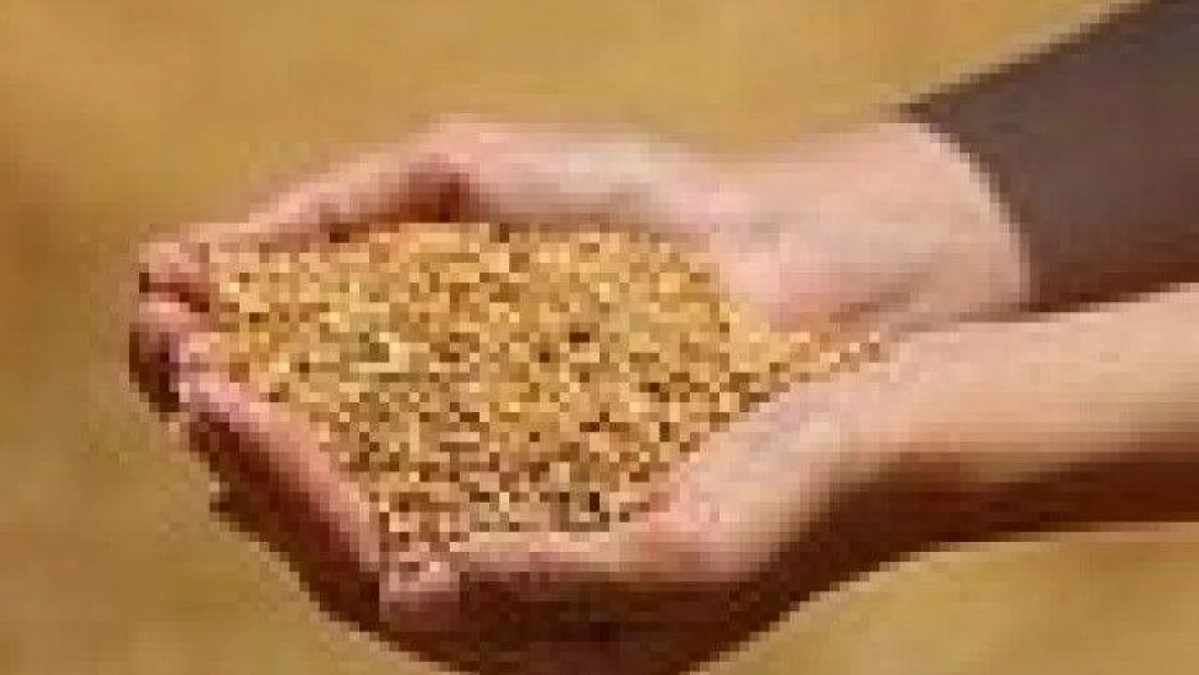 Edirne'de buğday 5 lira 440 kuruştan satıldı