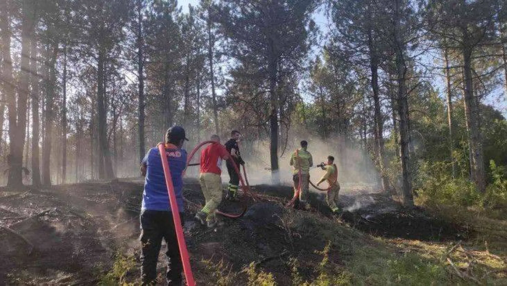 Edirne'de orman yangını: Havadan ve karadan müdahale ediliyor