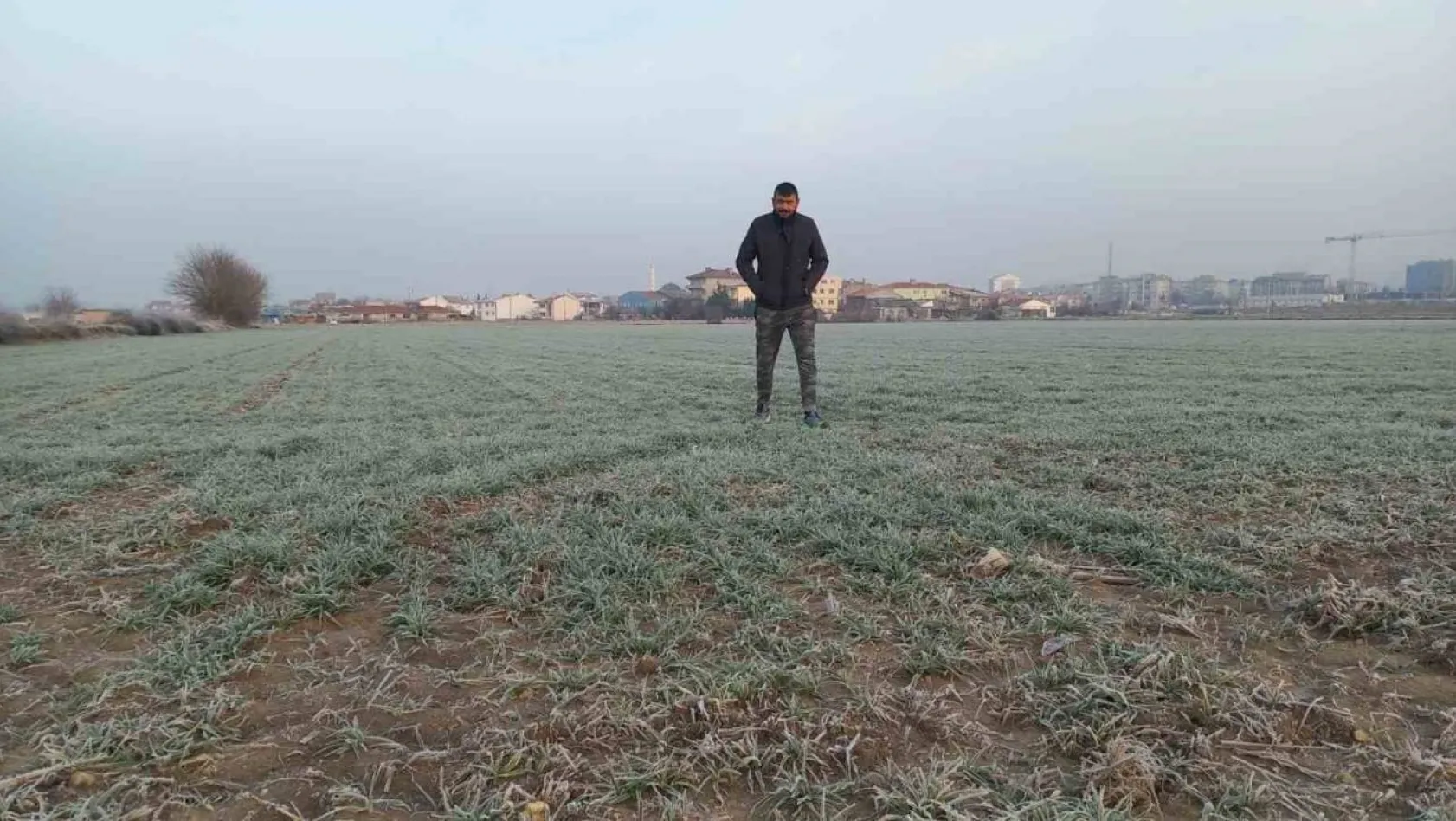 Edirne'de tarım arazileri buz tuttu