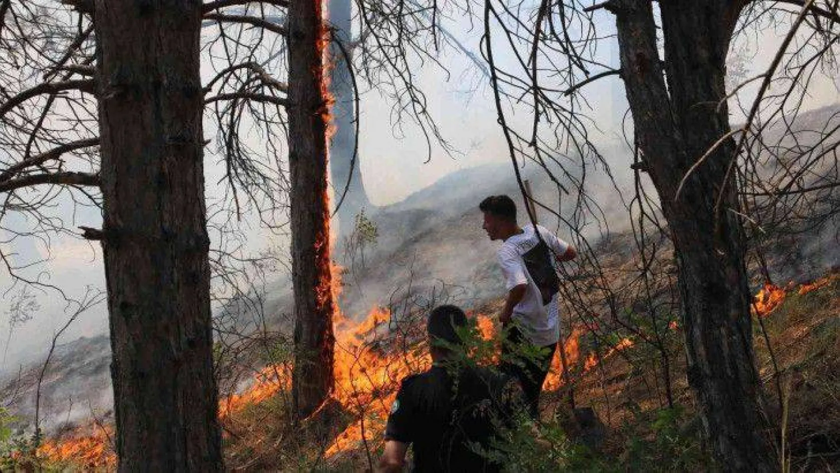 Edirne Kapıkule yolunda çıkan orman yangını söndürüldü
