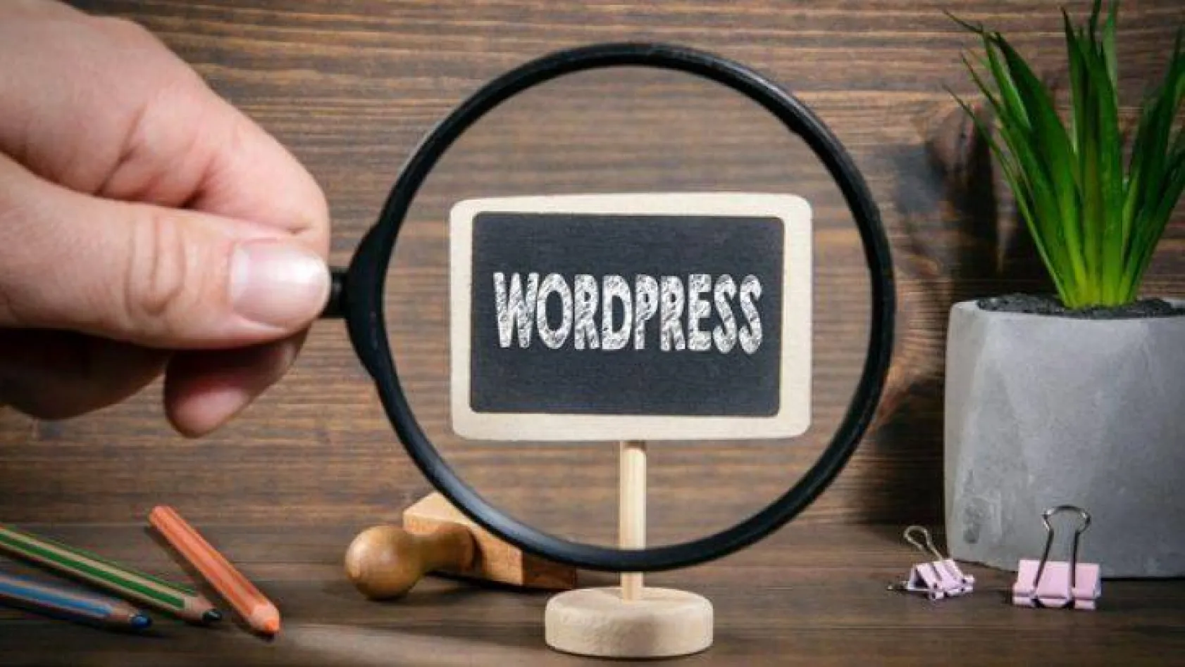 En Hızlı Web Siteleri için WordPress Hosting