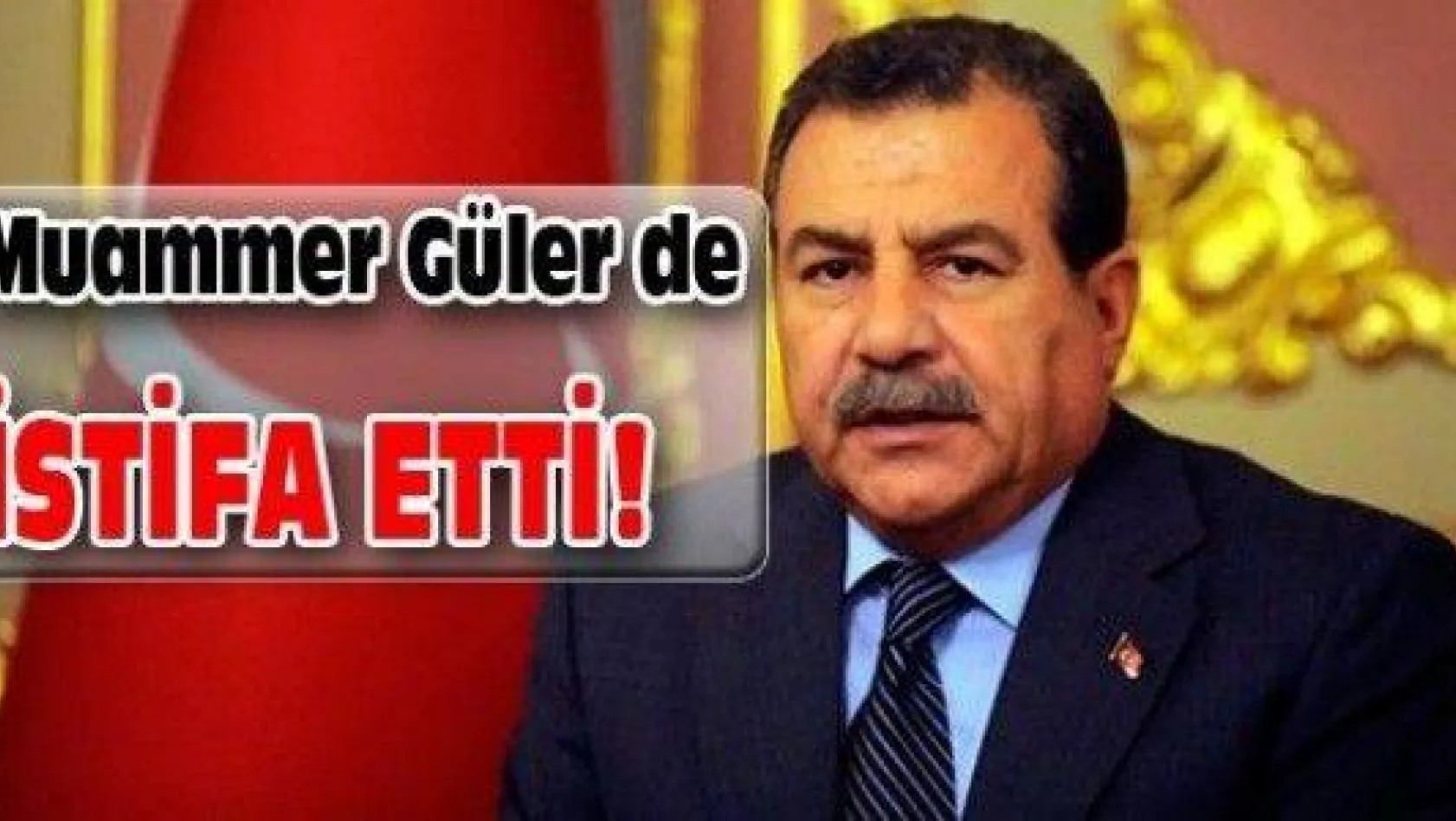 İçişleri Bakanı Muammer Güler istifa etti