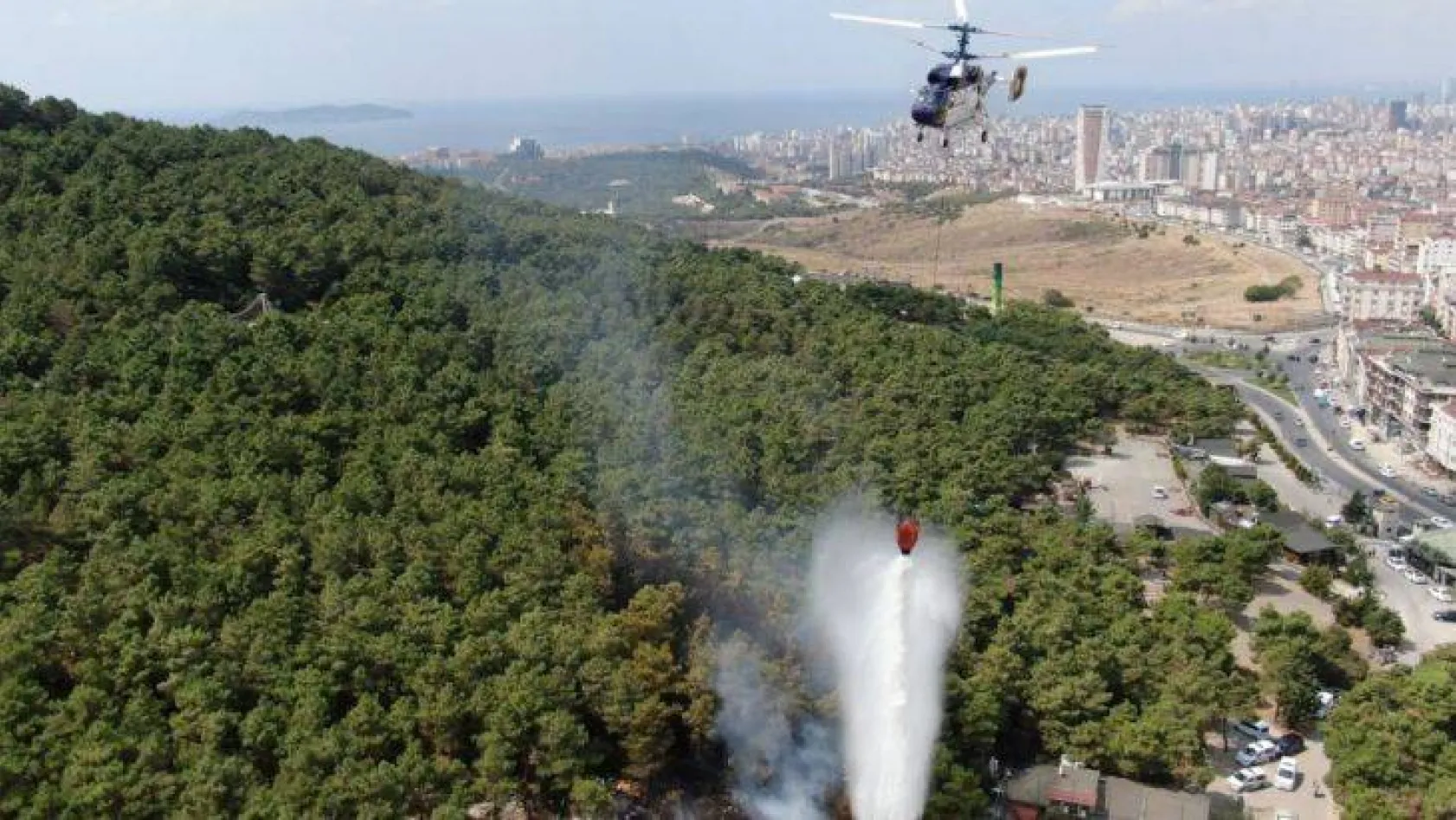 İstanbul'da ormanlık alanlara girişler 31 Temmuz'a kadar yasaklandı