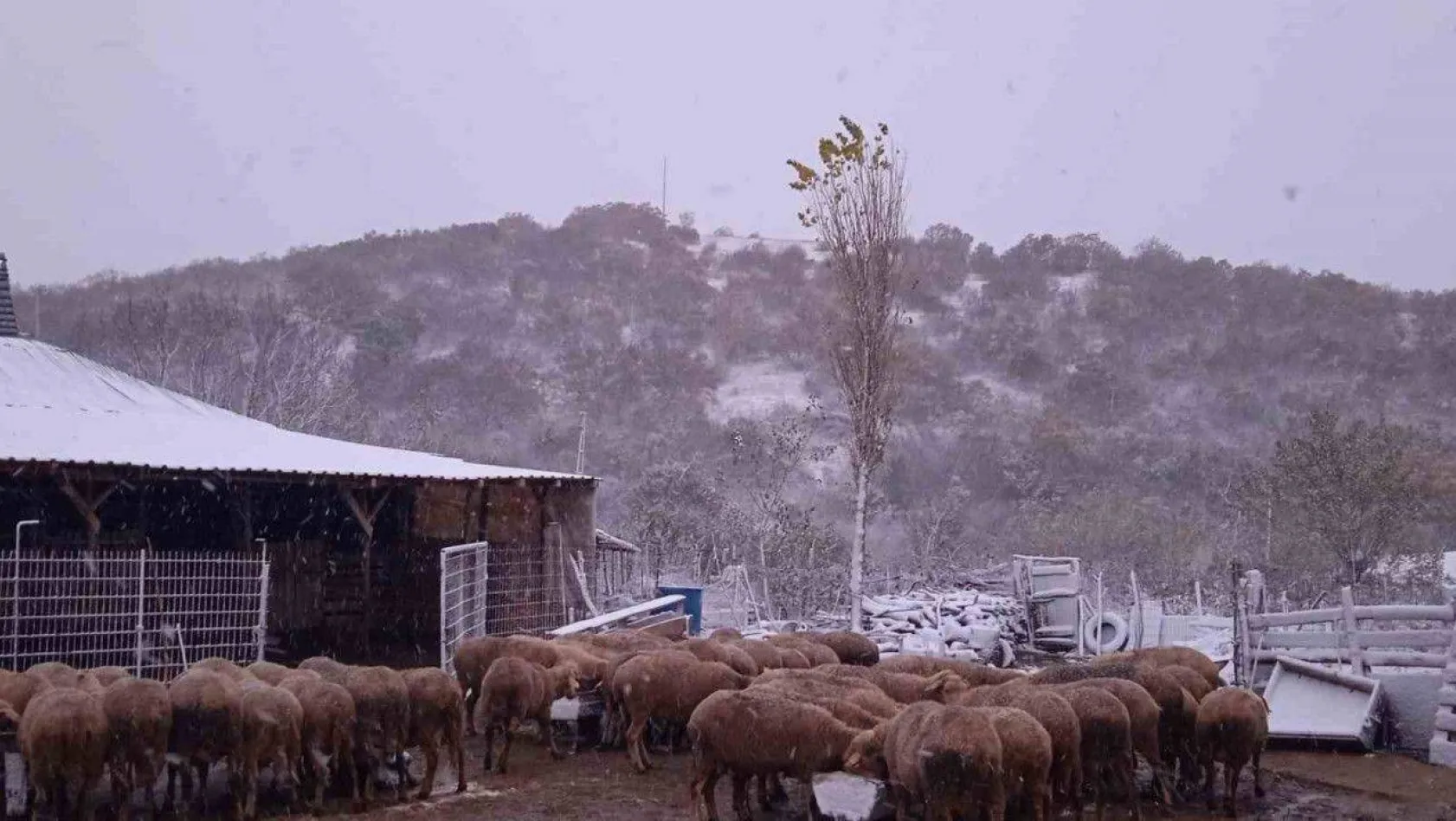 Kar, Balkanlar'dan Edirne'ye giriş yaptı: Sınır köyleri beyaza büründü