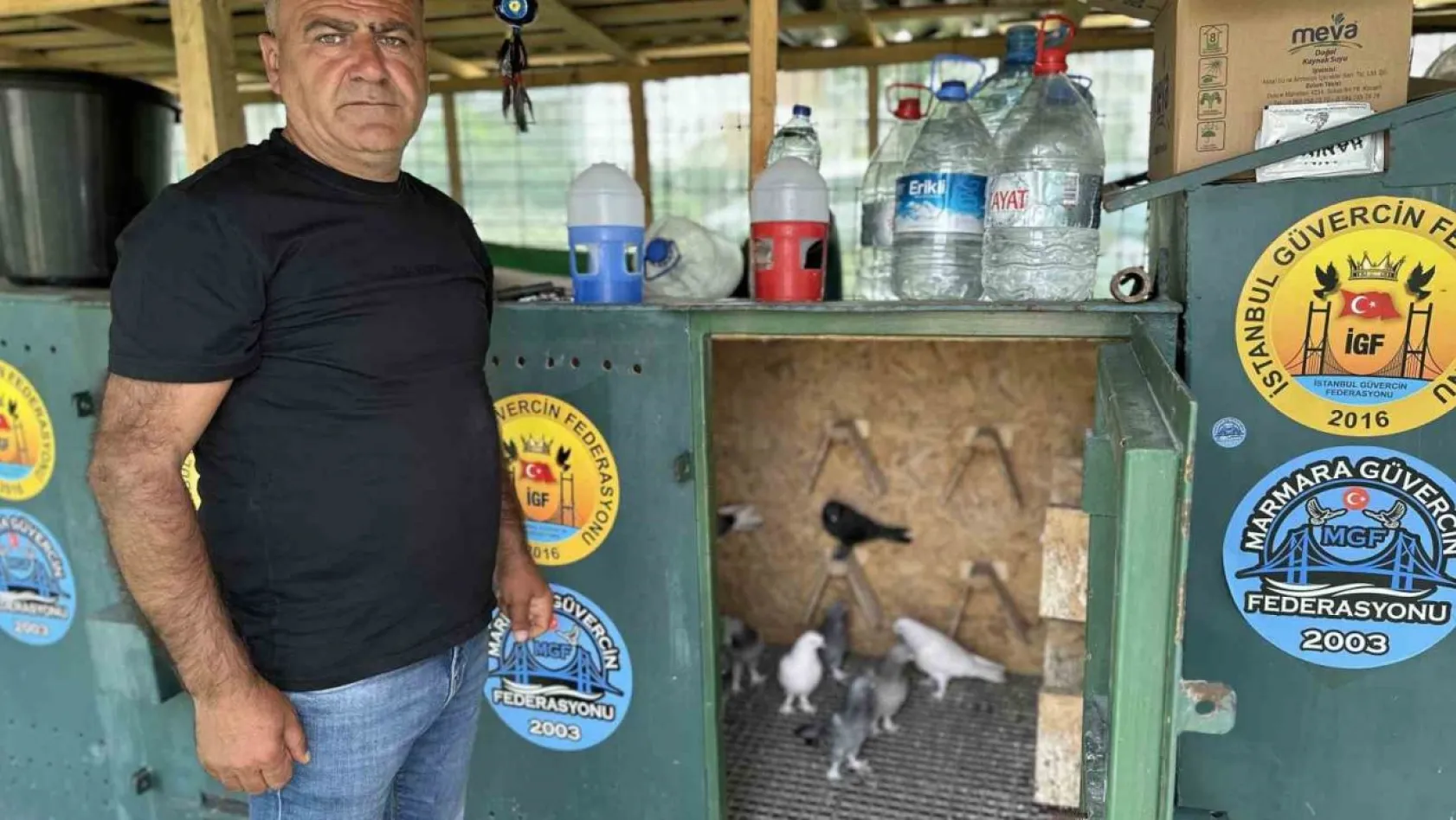Pendik'te 11 bin Euro fiyatındaki güvercini çelik kulübelerde besliyor