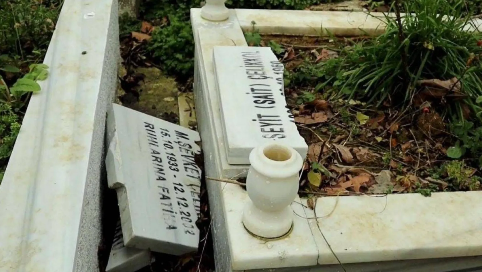 Sarıyer'de İBB'nin ağaç budama çalışmaları yarım kaldı, mezarlar zarar gördü