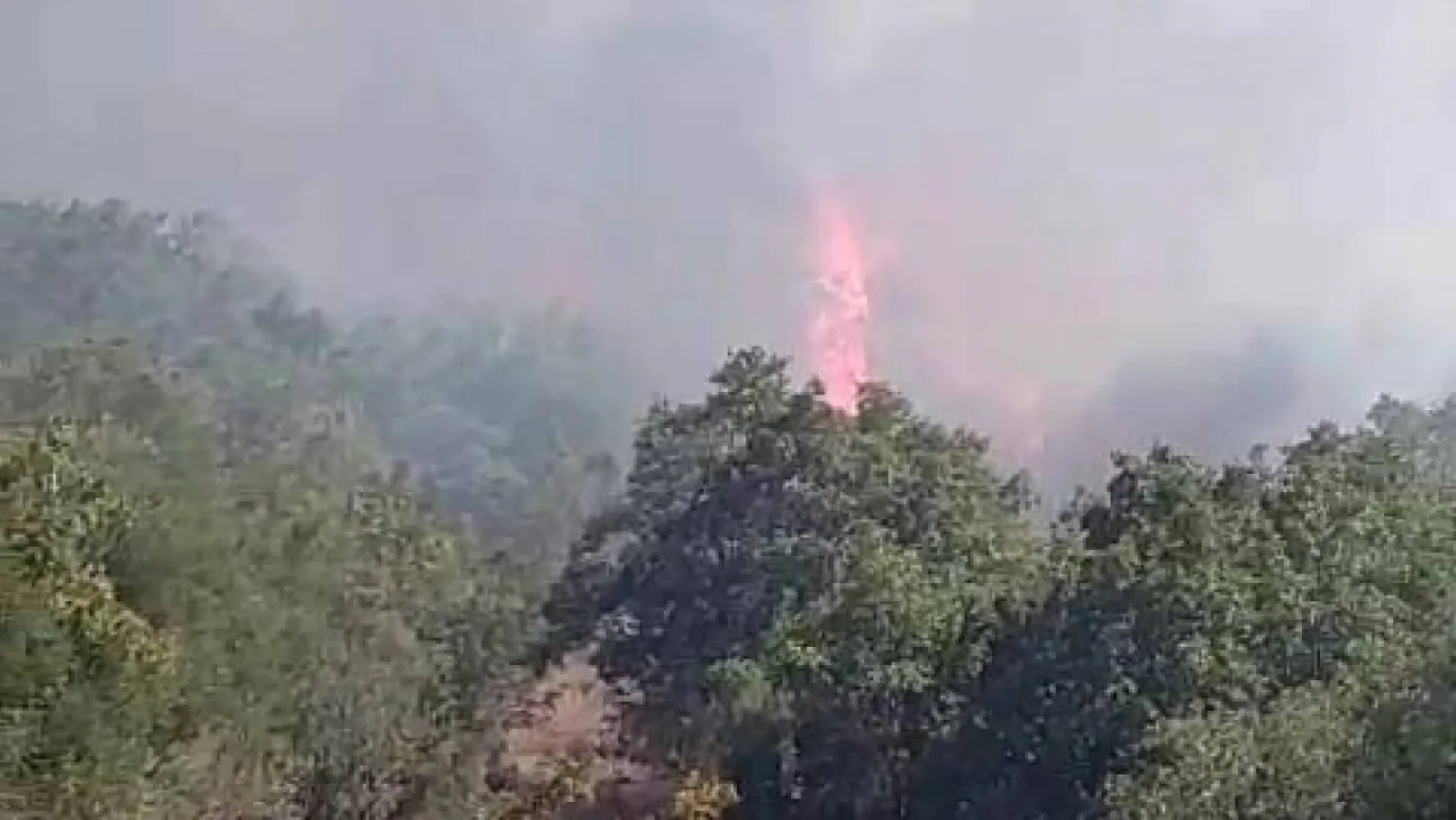 Silivri'de ormanlık alanda yangın