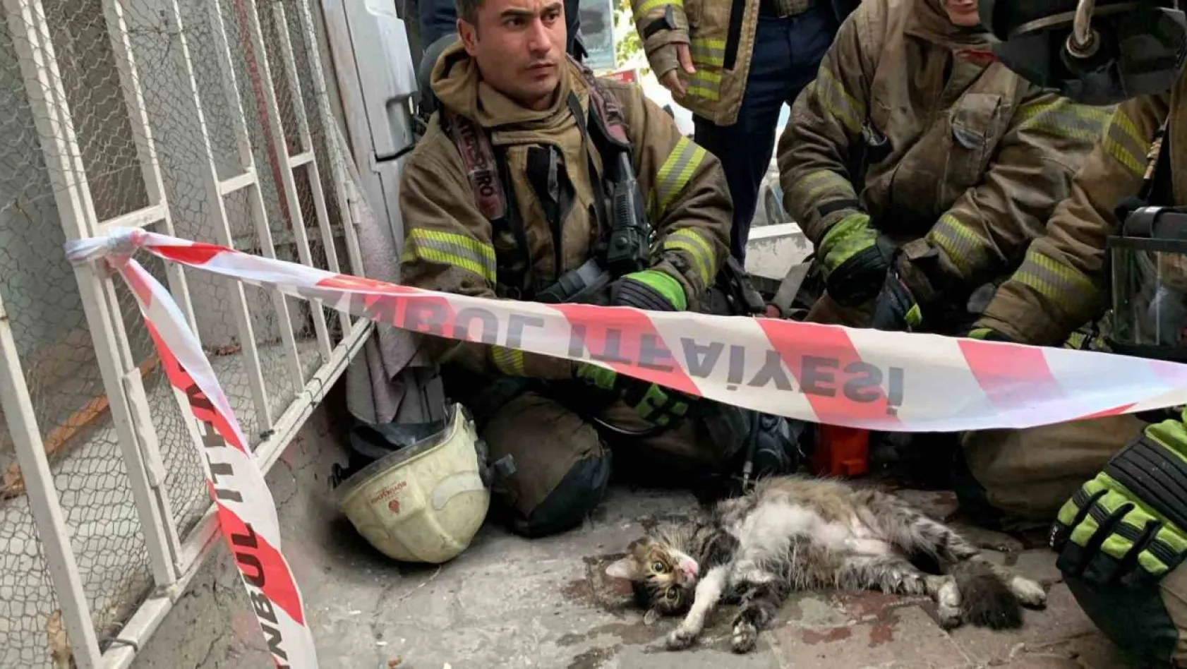 Şişli'de yangında mahsur kalan kedi itfaiye ekiplerince kurtarıldı