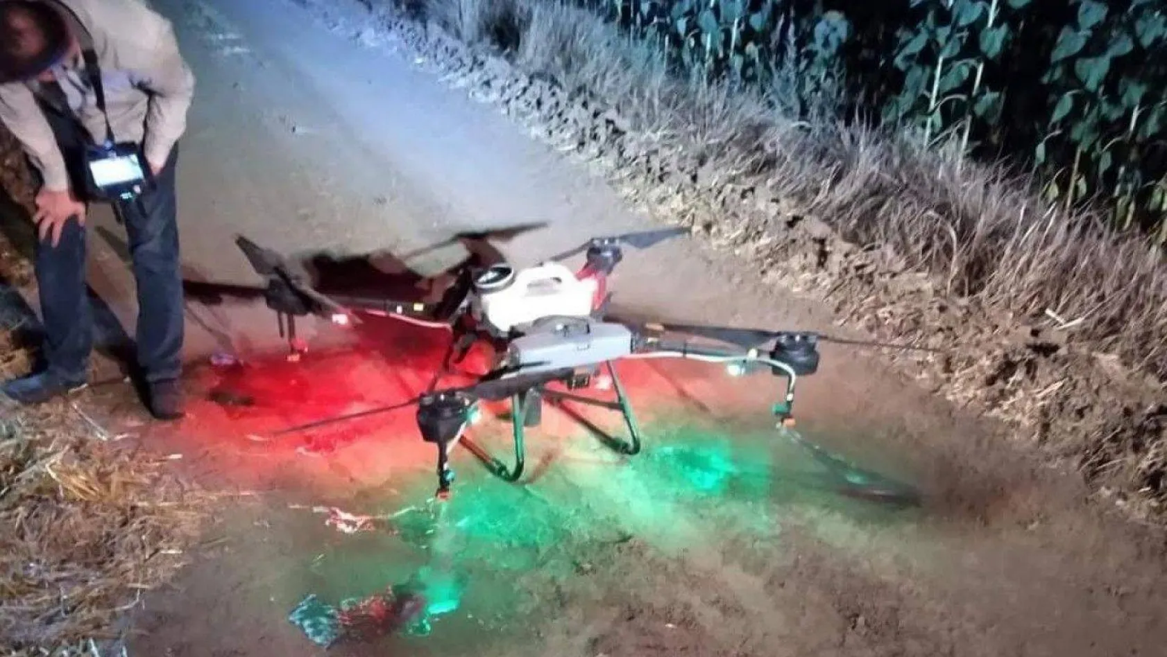 Tekirdağ'da tırtıl istilası: Dron ile operasyon başlatıldı