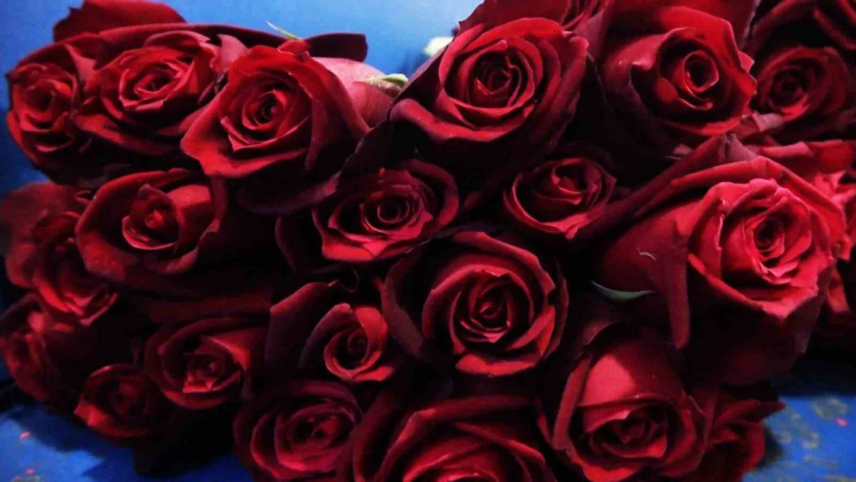 Yalova'da Sevgililer Günü'nde çiçek satışları 2'ye katladı