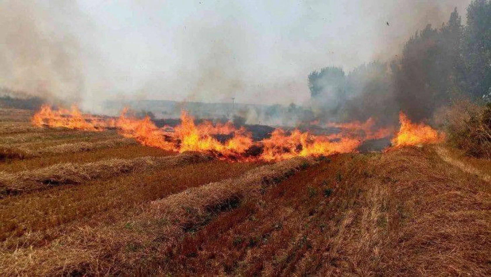 Yangın uyarıları başladı: Anız yakanlara 155 bin lira ceza