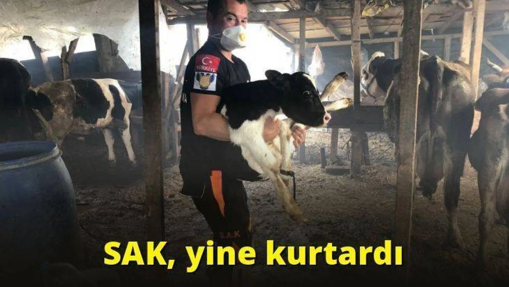 SAK, yine kurtardı