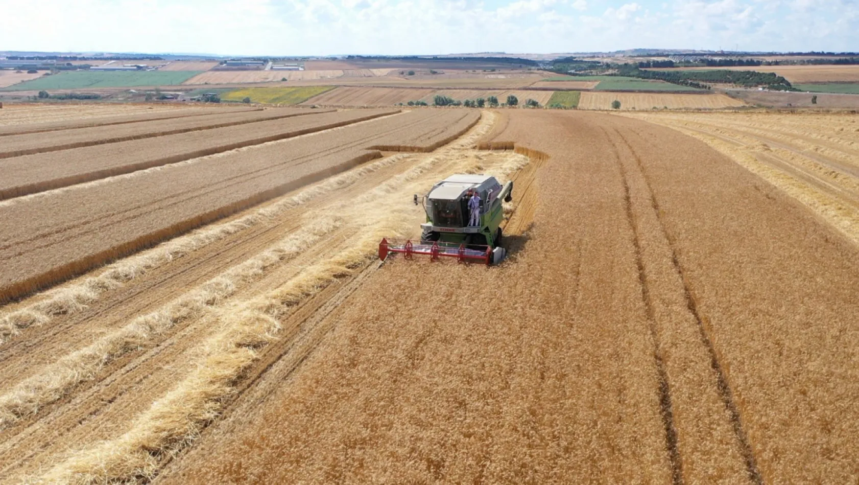 Deneme tohumlarının ilk hasadı yapıldı