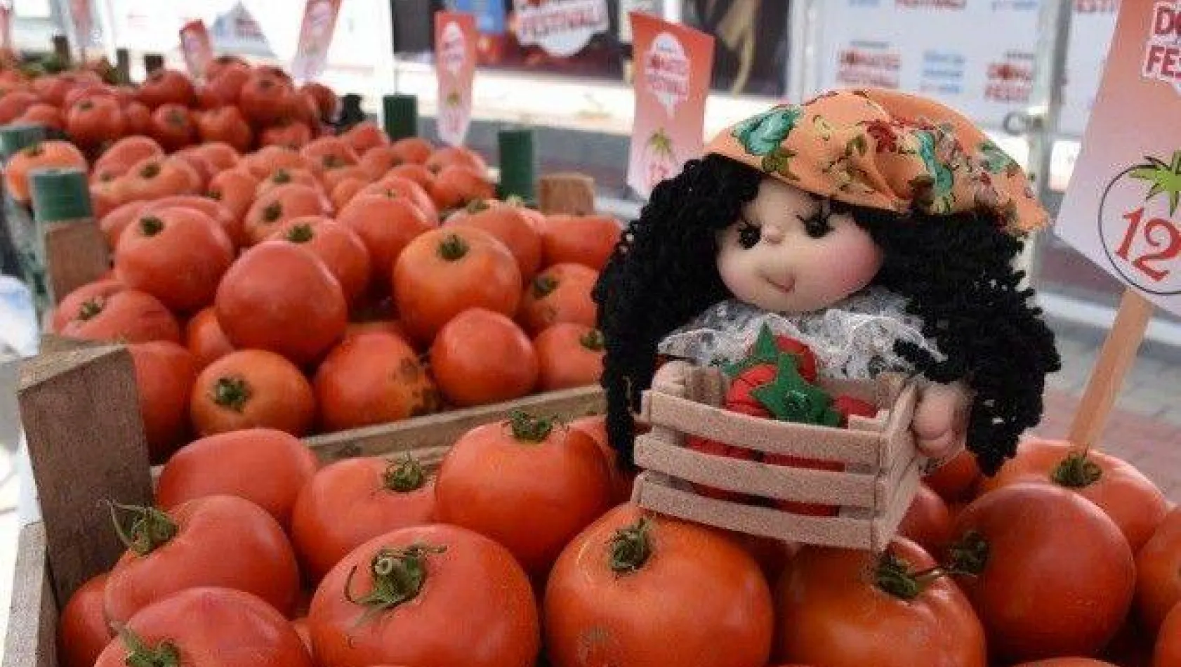 34 yıldır sürdürülen gelenek Domates Festivali