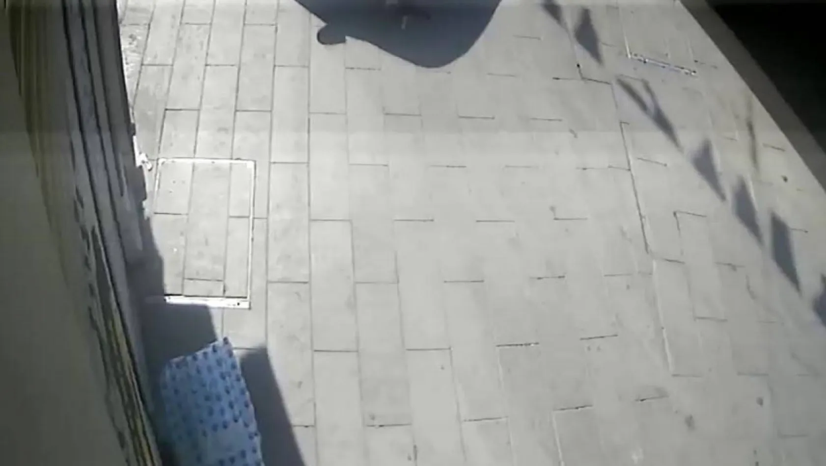 Beyoğlu'nda feci olay kamerada: İBB aracı kediyi ezip kaçtı