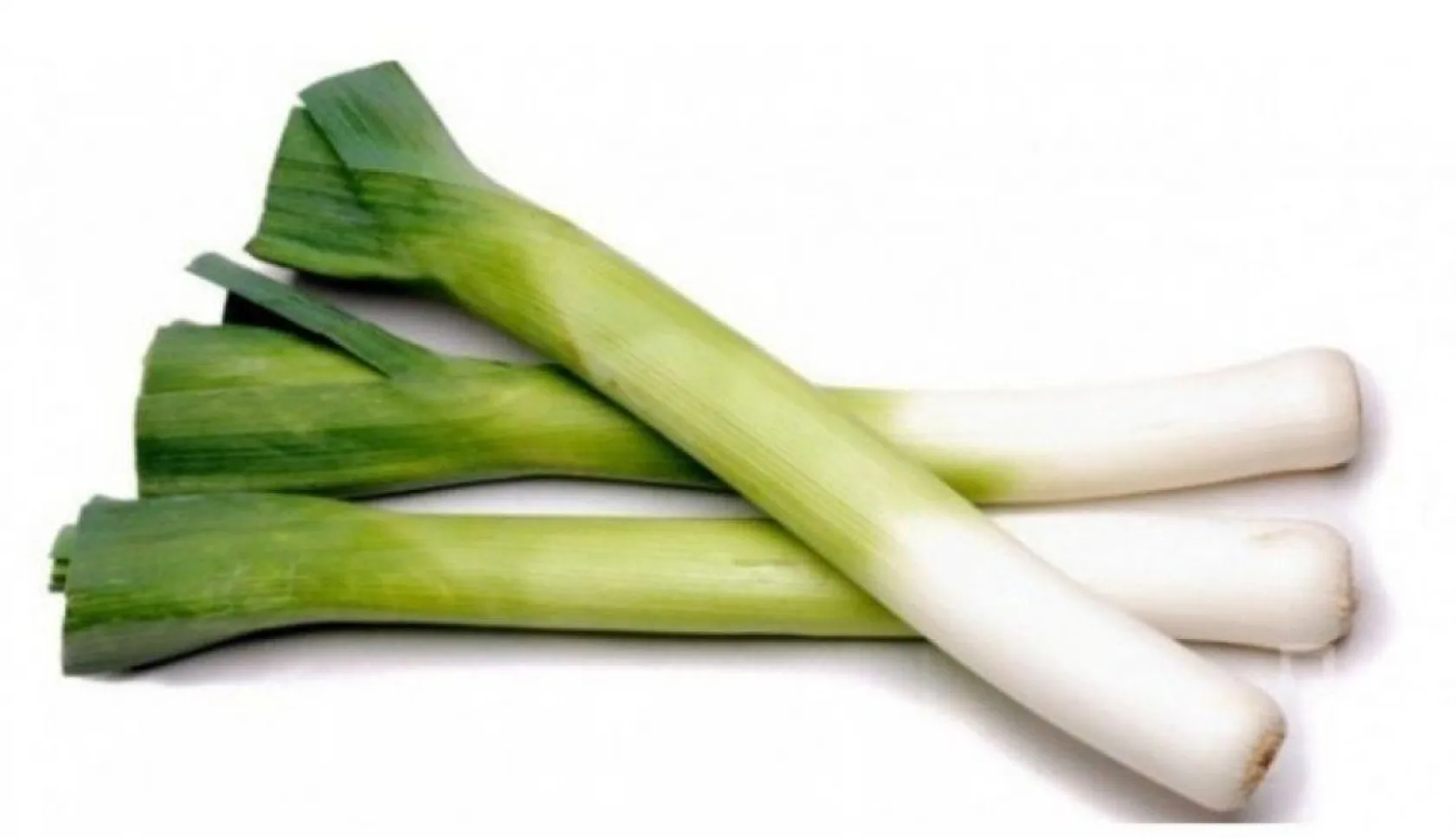 Kasım ayının 10 süper besini