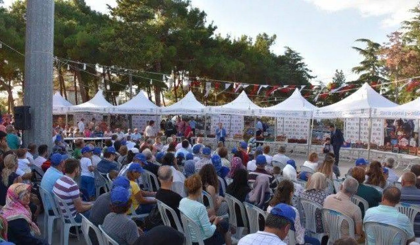 34 yıldır sürdürülen gelenek Domates Festivali
