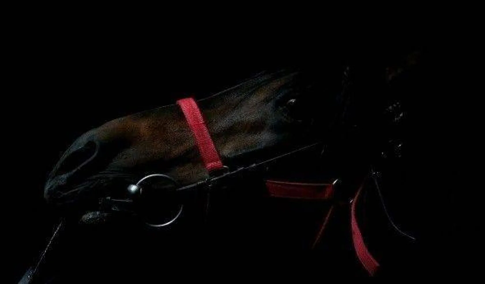 Efsane babaların efsane oğulları