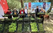 Başkan Balcıoğlu: 'Kadınlar Üretimin ve Toplumun Öncüsüdür'