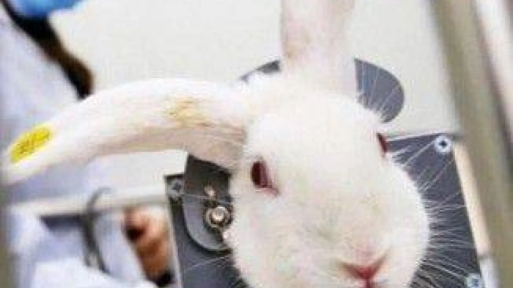 Güzelliğinizi neye borçlusunuz ???